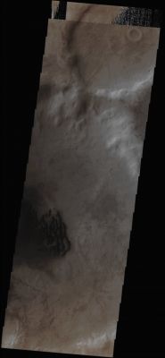 Unnamed Crater with Dunefield (Absolute Natural Colors; credits for the additional process. and color.: Dr Paolo C. Fienga/Lunar Explorer Italia/Italian Planetary Foundation)
In this VIS image, taken by the NASA - Mars Odyssey Orbiter on July 2nd, 2013, and during its 51.232nd orbit around the Red Planet, we can see a relatively large, dark and, probably, "Migrating" Dunefield that is found on the Floor of an old and Unnamed Impact Crater located in the Martian Southern Region known as Noachis Terra.
Even this Dunefield (just like the one found on the Floor of Proctor Crater - please, refer to yesterday's APOD if you want to know more -, as well as many others, located on both Martian Hemispheres) is being monitored by several Spacecrafts now orbiting the Red Planet (including the NASA- Mars Reconnaissance Orbiter) with the aim of identifying the movements (---> shifting, if any) of the Dunefield and the changes (again, if any) which might have occurred - over time - in the shape of the Dunefield itself.

Latitude (centered): 52,1373° South 
Longitude (centered): 30,6046° East 
Instrument: VIS 

This frame (taken from an Original Mars Odyssey Orbiter b/w and Map-Projected frame published on the NASA - Planetary Photojournal with the ID n. PIA 17420) has been additionally processed, magnified, contrast enhanced, Gamma corrected and then colorized in Absolute Natural Colors (such as the colors that a human eye would actually perceive if someone were onboard the NASA - Mars Odyssey Orbiter and then looked down, towards the Surface of Mars), by using an original technique created - and, in time, dramatically improved - by the Lunar Explorer Italia Team.
Parole chiave: Mars from orbit - Craters - Unnamed Crater with Dunefield