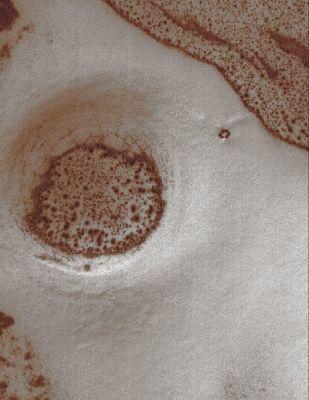 Unnamed South Polar Defrosting Crater (Absolute Natural Colors; credits for the additional process. and color.: Dr Paolo C. Fienga - Lunar Explorer Italia)
nessun commento
Parole chiave: Mars from orbit - South Polar Defrosting Crater