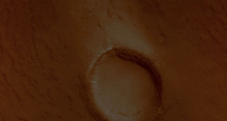 Crater and Windstreak in Syrtis Major Planum (Enhanced Natural Colors; credits for the additional process. and color.: Dr Paolo C. Fienga)
nessun commento
Parole chiave: Mars from orbit - Craters - Unnamed Crater with Windstreak