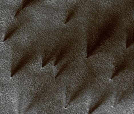 These ARE NOT Trees! (Natural Colors; credits: Dr G. Barca & Lunar Explorer Italia)
nessun commento
Parole chiave: Mars from orbit - Fans