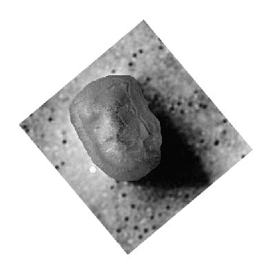 As Time Goes By... (a GIF-Movie by Lorenzo Leone - Lunexit Team)
Dal nostro Amico e Senior Partner, Lorenzo Leone, un bellissimo GIF-Movie che ci racconta, in pochissimi secondi, ben 34 anni di "evoluzione" del rilievo pi� famoso e controverso di Marte: la "Sfinge" di Cydonia Mensae (nota anche come "The Face On Mars".

Che dire? Il Popolo degli Appassionati si �, da tempo, nettamente diviso: per alcuni (diciamo "I Credenti") la Sfinge � una realt� indiscutibile e la "trasformazione" che ha sub�to � il frutto di un processo di cover-up da parte della NASA (e dell'ESA, pi� di recente); per altri ("Gli Scettici"), la Sfinge esisteva ed esiste ancora, oltre che nella testa del Dr Hoagland e dei suoi Fans, solamente in immagini a bassissima risoluzione, le quali fossero ottenute da grandi distanze ed in condizioni di illuminazione (o, pi� correttamente, in accordo ad una geometria di illuminazione) del tutto particolari/e.

La posizione di Lunexit al riguardo la conoscete, ma ci fa piacere ricordarla ancora una volta: la Sfinge di Cydonia � un rilievo affascinante il quale, in determinate circostanze ed a determinate condizioni, SEMBRA un qualcosa di artificiale, pur NON ESSENDOLO.
Tuttavia, dato che noi siamo Ricercatori e non "uomini d'affari" (ogni riferimento al Dr Hoagland ed alla sua Enterprise Mission � assolutamente voluto), dobbiamo sottolineare un aspetto controverso e controvertibile di tutta la querelle il quale � splendidamente evidenziato dal GIF-Movie di Lorenzo Leone.

Il paesaggio di Marte, in accordo a quanto ci dice la Scienza Convenzionale e la NASA, tramite le sue missioni ed osservazioni, � sostanzialmente cristallizzato (quasi completamente fermo, insomma) da alcune centinaia di milioni di anni (forse addirittura da un miliardo di anni a questa parte, lustro pi�, lustro meno). I maggiori (e pi� irruenti) processi geologici - intendiamo quelli correlati al vulcanismo attivo ed all'azione dei fluidi - sono fermi da ere e l'unico agente modificativo dell'ambiente pare essere il vento (i processi eolici, ci viene detto e scritto, sono gli unici processi ancora attivi su Marte, fatto salvo - FORSE - un minimo di attivit� sismica residuale). 
Eppure, nonostante l'azione - incessante o quasi - dei venti, anche il fenomeno noto come "Dunes' Migration" sembra inidoneo a produrre dei SIGNIFICATIVI (---> percettibili) MUTAMENTI del Paesaggio Marziano.

Noi non discutiamo tutto questo, anzi: potremmo anche essere d'accordo. 
Anzi: siamo d'accordo! 

Ma in questo scenario di semi-assoluta immobilit�, che coinvolge l'intero Pianeta Rosso da Polo a Polo, come facciamo a spiegare l'incredibile cambiamento della "collina di Cydonia" la quale, in solo poco pi� di trent'anni terrestri, si � quasi completamente livellata, mutando le proprie caratterizzazioni esteriori, la propria texture e, alla fine, la propria immagine vera e propria?

I Processi Fisici (Tettonici, Vulcanici, Meteorologici etc.) che governano la configurazione di un Corpo Celeste sono Processi Complessi e, di regola, Globali. 
Essi, in altre parole, non agiscono "a compartimenti" e non si manifestano - se non altro di regola - solo "regionalmente" o "stagionalmente".

Detto e premesso tutto questo, capirete quindi che potrebbe venire piuttosto difficile l'immaginare e l'ammettere che, in uno scenario caratterizzato da una sostanziale "fissit�" (salva la creazione di qualche nuovo cratere da impatto, la ciclica recessione per sublimazione dei ghiacci polari e la presenza - sporadica - di fenomeni di seepage o di subsidenza), l'unico rilievo che, nel giro di tre sole decadi, viene a rivoluzionarsi completamente nell'aspetto (forma e texture) sia proprio quello che tanto ha fatto e fa discutere Appassionati, Scienziati e Ricercatori Indipendenti.

Insomma - e per dirla come il nostro Grande Amico Lorenzo Leone - "...forse c'� qualcosa che non va...".

Si, probabilmente c'� qualcosa che ci sfugge. Ma deve essere qualcosa che non riguarda tanto la Sfinge di Marte in s� quanto, piuttosto, la globalit� dei dati e delle informazioni che vengono diffuse "ufficialmente" dalla NASA (e dall'ESA) a proposito del Pianeta Rosso.

Concludendo: noi siamo consapevoli che questo approccio ci varr� l'etichettatura di "complottisti", ma la Verit� � un'altra: i Signori Complottisti propriamente detti (e cio� quelli che si muovono sull'onda e nello spirito dell'Ing. Kaysing) diffidano dell'esistenza stessa e della bont� intrinseca delle Missioni NASA.

Ma noi no. Noi siamo convinti dell'assoluta bont� delle Missioni Apollo, come di tutte le altre meravigliose imprese del Programma Spaziale NASA.

Il nostro unico (ma fondamentale) "dubbio", se cos� ci permettete di definirlo, � un altro e lo si pu� riassumere in questa domanda: premessa la bont� ed esistenza di TUTTE LE MISSIONI NASA destinate all'esplorazione del Sistema Solare, dalla Luna a Plutone ed oltre, siamo proprio certi che il materiale messo a disposizione del Pubblico da parte degli Amici di Pasadena rappresenti l'espressione completa e genuina del materiale raccolto?

Pi� semplicemente: sulla Luna, Marte ed in giro per il Sistema Solare ci siamo stati e ci siamo, nessuno di noi ne dubita; nulla quaestio al riguardo. 
Ma la NASA ha effettivamente messo a disposizione del Pubblico il 100% del materiale raccolto? E' stata "cristal clear" su quanto visto e scoperto?

Noi, come Gruppo di Ricerca Lunar Explorer Italia, riteniamo che la NASA sia la pi� alta espressione dello Spirito Tecnologico ed Avventuriero del Genere Umano; un Ente che, come scrivemmo in passato, "se non ci fosse, bisognerebbe inventarlo".
E coloro che "fanno" la NASA sono sicuramente dei geni, dei visionari, dei Grandi Uomini di Scienza e (riteniamo) di Fede.

Ma da qui a ritenere che TUTTO quello che fa la NASA sia "immune da peccato" (con ci� intendendosi qualsiasi vizio afferente il materiale da Essa prodotto e diffuso verso l'esterno il quale derivi da errore, omissivo o commissivo, o da dolo vero e proprio - perch� lo Spazio non � di tutti, ma di chi lo conquista, ricordatelo bene!), ce ne passa.

Noi - tanto per essere chiari e cristallini - non condividiamo, n� filosoficamente, n� praticamente, il lavoro svolto da Enterprise Mission n� da alcuna delle Associazioni ad essa collegate o da essa derivate; non condividiamo neppure il "lavoro" svolto da un pletora di pi� o meno improvvisati Eso-Archeologi (o Archeografi, che dir si voglia), i quali guardano - di regola per un minuto o poco pi� - delle false immagini oppure dei frames autentici, ma brutti, sfuocati e digitalmente manipolati, e poi vengono a raccontare di "avere la prova inconfutabile" (ma dove???) dell'esistenza, sulla Superficie di Marte, di grandi edifici, di cosmodromi, cave, miniere, scritte ed altre varie baggianate.

Noi, come Gruppo di Lavoro e di Ricerca Lunar Explorer Italia, crediamo in quello che riusciamo a fare e, nei limiti dei nostri (miseri) mezzi, capacit� e competenze, a dimostrare.

Sono anni che abbiamo contatti (taluni amichevoli e frequenti, altri meno amichevoli e pi� sporadici) con innumerevoli Entit� che operano nel Campo della Ricerca Spaziale Convenzionale e Borderline, ed attraverso questi contatti abbiamo maturato (in parte) e poi trasferito (in parte), nuove capacit�, competenze e conoscenze.

Lunar Explorer Italia pu� piacere o non piacere: su questo non si discute.

Ma sulla nostra Buona Fede e sulla oggettiva (e riconosciuta) capacit� di distinguere le "panzane spaziali" dalle Anomal�e vere e proprie, non c'� nessuno - n� in Italia, n� fuori dai nostri Confini - che pu� permettersi di esprimere giudizi trancianti, disinformati e/o affrettati. 
La nostra "pignoleria" nel trattare un'infinit� di problematiche � la prova del nostro approccio completo, pragmatico e possibilistico. 
Si, possibilistico. Perch� nel possibilismo e nell'apertura mentale c'�, a nostro parere, il Seme della Crescita. 

Una Crescita che passa attraverso decine di migliaia di ore trascorse a raccogliere dati e ad esaminarli. Una Crescita che affonda le proprie radici nel desiderio di creare qualcosa di valido e quindi renderlo duraturo.
Una Crescita che, dagli Apollo Days alle peregrinazioni di Spirit ed Opportunity (passando dalle odissee di innumerevoli Sonde ed Orbiters), vuole portare noi stessi e coloro che ci leggono a raggiungere un minimo di conoscenza, oggettiva e disincantata, di quello che � il Sistema Solare ed il ruolo dell'Uomo nel Sistema Solare.

Perch�, da cinquant'anni a questa parte, le domande ed i (legittimi) dubbi che sono nati sopravanzano di gran lunga le risposte che siamo stati capaci di dare.
Perch� il Futuro del Genere Umano, molto probabilmente, � davvero nel Cosmo. Out There, sulla Luna, Marte e altrove.

Ma per crescere ed arrivare a vedere quel Futuro, lo abbiamo compreso da molto tempo, c'� tanto Lavoro da fare e tanta Consapevolezza da maturare. 
E non sempre bastano - purtroppo - i soli Libri o le sole parole dei Saggi e dei Precettori. Ci vuole anche Pazienza, Sacrificio, Consapevolezza, 
Tempo e qualche LEGITTIMO DUBBIO.
Perch� - come scrisse l'Ing. De Crescenzo, qualche anno fa - "solo gli imbecilli non hanno mai dubbi".

Noi mettiamo nel nostro Lavoro tutto quello che abbiamo, con Umilt� e Consapevolezza. Se questo Vi basta, bene: siete e sarete sempre i Benvenuti a Bordo.
Se invece il nostro Lavoro ed il nostro Metodo non Vi andassero a genio, nessun problema; il WWW, in fondo, � come la televisione: basta solo cambiare canale.

Sarete pi� contenti Voi e, certamente, saremo pi� felici noi.

Un Grazie di Cuore a Lorenzo Leone (a.k.a Anakin) per il Lavoro che ha fatto e che ci ha dato l'occasione di parlare - liberamente - non solo di Marte e dei suoi Misteri, ma anche della Terra, del Genere Umano e di (alcuni dei suoi) costumi e malcostumi (genialit�, pazienza, stupidit� ed ignoranza incluse).
Parole chiave: Mars from orbit - Cydonia Mensae - "The Face on Mars"