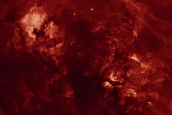 Cygnus Region
"...La conversazione è feconda soltanto fra spiriti dediti a consolidare le loro perplessità..."

Émile Michel Cioran
Parole chiave: From Earth Images - Professional Images