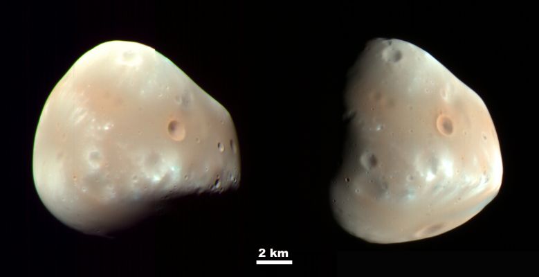 Deimos in Natural Colors and HR (credits: NASA/JPL-Caltech and Univ. of Arizona)
These color-enhanced views of Deimos, the smaller of the two moons of Mars, result from imaging on Feb. 21, 2009, by the High Resolution Imaging Science Experiment (HiRISE) camera on NASA's Mars Reconnaissance Orbiter. 

Deimos has a smooth surface due to a blanket of fragmental rock or regolith, except for the most recent impact craters. It is a dark, reddish object, very similar to Mars' other moon, Phobos. For a comparison, see HiRISE images of Phobos taken on March 23, 2008. 

These Deimos images combine HiRISE exposures in Near-InfraRed, Red and Blue-Green wavelengths. In the enhanced color, subtle color variations are visible -- redder in the smoothest areas and less red near the fresh impact craters and over ridges of topographic highs (relative to Deimos' center of gravity). The color variations are probably caused by exposure of surface material to the space environment, which leads to darkening and reddening. Brighter and less-red surface materials have seen less exposure to space due to recent impacts or downslope movement of regolith. 

Deimos is about 12 Km (approx. 7,5 miles) in diameter. Its orbital period is 1 day, 6 hours, 17' and 54". 

These two images were acquired 5 hours and 35 minutes apart. 
The Sun was to the upper left in the first (left) image, and to the right in the second image. The viewing geometry is similar in the two images, but surface features appear very different due to the change in illumination. 

With an image scale of about 20 mt (66 feet) per pixel, features 60 mt (197 feet) or larger can be discerned. 

These images are products from observations catalogued by the HiRISE team as ESP_012065_9000 and ESP_012068_9000. Other products from these observations are available at http://hirise.lpl.arizona.edu/deimos.php .
Parole chiave: Mars' Moons - Deimos