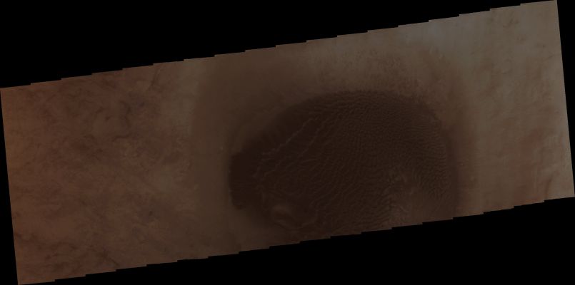 Large Dunefield in Noachis Terra (Natural Colors; credits for the additional process. and color.: Dr Paolo C. Fienga - Lunexit Team)
Orbit Number: 42867;
Latitude: 45,7344° South;
Longitude: 36,7672° East;
Instrument: VIS;
Captured: August, 13th, 2011;
Mars Local Time (M.L.T.): 22:02 (Late Evening Hours)


Parole chiave: Mars from orbit - Dunefield - Noachis Terra Region