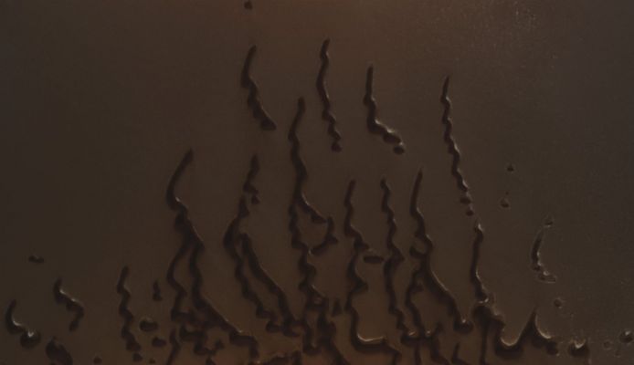 Migrating Dunes (Absolute Natural Colors; credits for the additional process. and color.: Dr Paolo C. Fienga - Lunexit Team))
Caption NASA originale:"This MGS-MOC image shows a suite of dunes in one of the several North Polar Dune Fields. The bright surfaces adjacent to some of the dunes are patches of frost. These dunes spend much of the Autumn, Winter, and Spring seasons covered with CO2 frost. Only in late Spring and in Summer are the dark windblown sands fully exposed. 
Over the course of the 9+ years of the MGS mission, the MOC team has sought evidence that sand dunes may be migrating downwind over time. However, no clear examples of the movement of a whole dune have been identified. On Earth, such movement is typically detectable in air photos of the smallest active dunes over periods of a few years. Owing to the fact that the North Polar Dunes spend much of each Martian Year under a cover of frost, perhaps these move much more slowly than their frost-free, terrestrial counterparts. The sand may also be somewhat cemented by ice or minerals, likewise preventing vigorous dune migration in the present environment. 

This view covers an area approximately 3 km (1.9 mi) wide and is illuminated by sunlight from the lower left. The dunes are located near 79.8°N, 127.1°W, and the picture was acquired on 11 September 2006.
Parole chiave: Mars from orbit - North Polar Features - Dunes