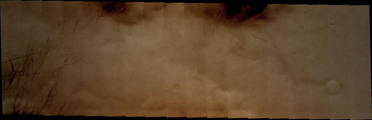 Dust Devil Tracks in Terra Cimmeria (Natural Colors; credits: Lunar Explorer Italia)
Coord.: 66,5° South Lat. and 162,3° East Long.
Parole chiave: Mars from orbit - DD Tracks - Terra Cimmeria