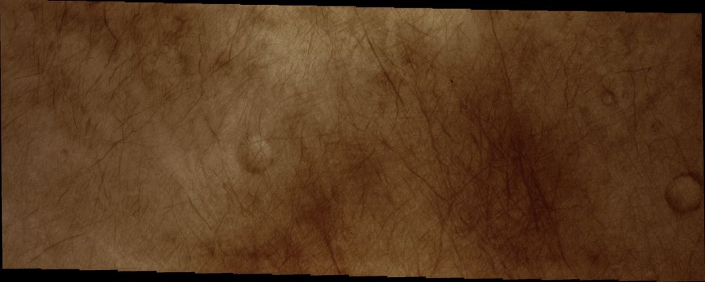 Dust Devils Tracks in Noachis Terra (Absolute Natural Colors; credits for the additional process. and color.: Dr Paolo C. Fienga - Lunexit Team)
nessun commento
Parole chiave: Mars from orbit - DD Tracks - Noachis Terra