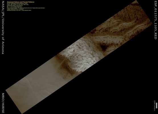 Seasonal Haloes and Fractal Patterns (Natural Colors; credits: Lunar Explorer Italia)
Note Lunexit: 

gli "Haloes" sono gli "Aloni di Sublimazione" ossìa quelle porzioni di terreno che, quando la temperatura superficiale del Pianeta va ad alzarsi, si scoprono/liberano dei ghiacci e delle brine di CO2 o d'acqua che li ricoprono - per sublimazione, appunto (ossìa mediante il passaggio diretto di un elemento dalla forma solida a quella gassosa). 
Questo disgelo (---> "thaw"), di regola (ed a seguito delle osservazioni che abbiamo fatto) procede in maniera aureolare, partendo da un'area leggermente dislivellata (in altezza - dossi, rim di cratero ed altri rilievi) rispetto al Datum e quindi allargandosi a "macchia di leopardo" (e dando quindi l'impressione, nelle osservazioni fatte dall'alto e da distanze sensibili, che si formino, sulla superfcie, dei veri e propri aloni).

I "Fractal Patterns" sono, invece, i "Disegni Frattali" ossìa quelle configurazioni del suolo a sembianza di figura frattale (ossìa eternamente ripetitiva di se stessa) che si producono sempre durante la fase di disgelo del Suolo Marziano (e che possiamo vedere nelle Regioni Polari e presso-Polari, durante la Primavera di Marte, sia a Nord, sia a Sud). 
La loro osservazione dall'alto e da grandi distanze (nell'ordine delle centinaia di Km) è produttiva di incredibili effetti ottici i quali hanno suggerito - a molti Ricercatori di Frontiera (su tutti: Skipper ed Hoagland) - l'idea che, su Marte, possano esistere delle forme esotiche di vegetazione (exx.: gli "Arthur Clarke Trees" ed i "Polar Pine Trees"). I "Fractal Patterns", però - e come capite bene - non sono rilievi che si sviluppano in altezza (come alberi), ma sono dei semplici "disegni" che appaiono al suolo e che sviluppano sempre e solo in mera estensione.
Se vogliamo, essi possono essere assimilati - da un punto di vista meramente visivo - alle famose "Piste di Nazca" (anche se, lo ripetiamo, i Disegni Frattali sono "Surface Features" DEL TUTTO ed ASSOLUTAMENTE NATURALI).
Parole chiave: Mars from orbit - Seasonal Haloes