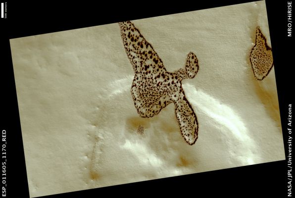 Defrosting Malea Patera (Natural Colors; credits: Lunar Explorer Italia)
Malea Patera is one of a group of ancient volcanoes that ring the Hellas Impact Basin. This HiRISE image was intended to investigate the nature of the volcanic materials at this location. However, the image was taken in early Spring for this location in the Southern Hemisphere and so the ground is covered with bright frost except for some dark splotches found in discrete patches. 
This is where the sunlight has penetrated the frost and initiated defrosting around discrete spots.
Clearly something is different about the patches where this defrosting has started before any other locations. One possibility is that these are (frost covered) dark sand dunes that heat up more easily than the surrounding terrain. However, we will need to take a new image in the Summer time to really know what is happening here. 

Mars Local Time: 16:11 (middle afternoon)
Coord. (centered): 62,5° South Lat. and 53,3° East Long.
Spacecraft altitude: 249,1 Km (such as about 155,7 miles) 
Original image scale range: 24,9 cm/pixel (with 1 x 1 binning) so objects ~75 cm across are resolved 
Map projected scale: 25 cm/pixel
Map projection: EQUIRECTANGULAR 
Emission Angle: 0,9° 
Phase Angle: 72,4°
Solar Incidence Angle: 73° (meaning that the Sun is about 17° above the Local Horizon)
Solar Longitude: 192,6° (Northern Autumn)
Credits: NASA/JPL/University of Arizona
Additional process. and coloring: Lunar Explorer Italia
Parole chiave: Mars from orbit - Malea Patera