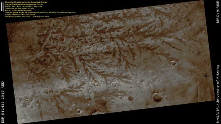 Branched Features on the Floor of Antoniadi Crater (Natural Colors; credits: Lunar Explorer Italia)
The dark branched features in the floor of Antoniadi Crater look like giant ferns, or fern casts. However, these ferns would be several miles in size and are composed of rough rocky materials.

A more likely hypothesis is that this represents a channel network that now stands in inverted relief. The channels may have been lined or filled by indurated materials, making the channel fill more resistant to erosion by the wind than surrounding materials. After probably billions of years of wind erosion the resistant channels are now relatively high-standing. The material between the branched ridges has a fracture pattern and color similar to deposits elsewhere on Mars that are known to be rich in hydrated minerals such as clays.

The inverted channels have short, stubby branches characteristic of formation by groundwater sapping. Spring water seeps into the channels and undercuts overlying layers which collapse, so the channels grow headward. These images tell the story of an ancient wet environment on Mars, where life could have been possible. Ancient Martian life was most likely to consist of microorganisms rather than giant tree ferns. 

Parole chiave: Mars from orbit - Craters - Antoniadi Crater