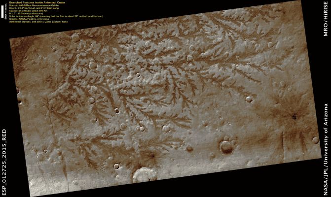 Branched Features on the Floor of Antoniadi Crater (Natural Colors; credits: Lunar Explorer Italia)
nessun commento
Parole chiave: Mars from orbit - Craters - Antoniadi Crater