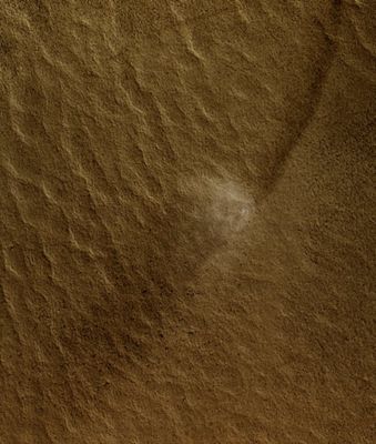 Southern Dust Devil (EDM - Natural Colors; credits: Lunexit)
nessun commento
Parole chiave: Mars from orbit - Southern Features - Dust Devil