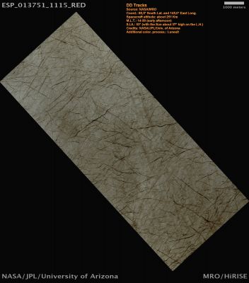 DD Tracks in Thyles Rupes (Natural Colors; credits: Lunexit)
The Dark Streaks are a result of a Surface-Atmosphere interaction that creates thermally-driven Vortices. These Martian Vortices are giant Dust Devils that “vacuum” the bright Surface dust revealing the darker Subsurface rock. 
This image was taken in the late Southern Summer and shows that the Dust Devil direction of movement changes with the winds as the season progresses from Spring to Fall. Dust Devils are sensitive to changes in low-speed ambient winds and will follow the dominant daytime wind direction.

The direction of the Vortex is visible by the scallop pattern that is left behind as a Dust Devil will erase the front part of the circular track as it follows the wind.
Parole chiave: Mars from orbit - Chasma Boreale Region