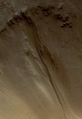 Gullies in Sirenum Fossae (EDM n.1 - Natural Colors; credits: Lunexit)
nessun commento
Parole chiave: Mars from orbit - Craters - Unnamed Craters with Gullies