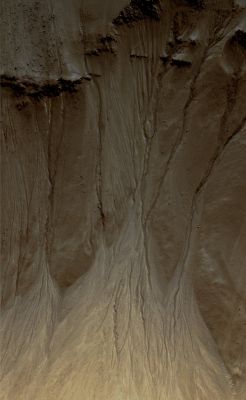 Gullies in Sirenum Fossae (EDM n.3 - Natural Colors; credits: Lunexit)
nessun commento
Parole chiave: Mars from orbit - Craters - Unnamed Craters with Gullies