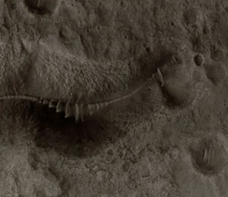 "Worm-like" Surface Feature in the Southern Highlands (EDM - Natural Colors; credits: Lunexit)
nessun commento
Parole chiave: Mars from orbit - Southern Features - Unusually-looking Surface Feature