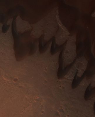 Equatorial Martian Barchans (EDM - Natural Colors; credits: NASA/JPL/Univ. of Arizona)
Barchan Dunes are common on both Earth and Mars. These Dunes are very distinctive in shape, and are important because they can tell scientists about the environment in which they formed.
Barchans form in wind regimes that blow in one Dominant Direction. The ridged arcs of sand that define the Barchan Dunes end in horns that point downwind. Sand is transported up the broad, relatively shallow windward slopes and once it overtops the Dune Crest, the sand falls down a shorter steeper slope between the horns, known as the "Slip Face". Over time, the Barchans migrate downwind, following their horns.

This HiRISE image shows an example of several Barchans merging to form an even larger Barchan Dune. This can happen through a variety of circumstances, such as when smaller, faster dunes collide with larger, slower-moving dunes that absorb them, resulting in single, larger dunes. The distance between the merging horns of the large dune in this highlighted region is a little over 500 meters (about 1600 feet).

Coord.: 3,3° South Lat. and 307,6° East Long.
Spacecraft altitude: about 268 Km
M.L.T.: 14:17 (early afternoon)
S.I.A.: 36° (with the Sun about 54° abov the Local Horizon)

Parole chiave: Mars from orbit - Dunes - Aeria Terra