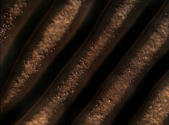 Dunes in Noachis Terra (EDM n.2 - Natural Colors; credits: Dr Paolo C. Fienga - Lunexit Team)
nessun commento
Parole chiave: Mars from orbit - Dunes - Noachis Terra Region
