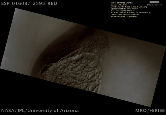 Frost-covered Dunes (Natural Colors; credits: Dr Paolo C. Fienga - Lunexit Team)
Dunes are often found on Crater Floors. In the Winter time, at high Northern Latitudes, the Terrain is covered by Carbon Dioxide Ice (Dry Ice - CO2 Ice). In the Spring, as this seasonal ice evaporates or sublimates, many unusual features - certainly unique to Mars - become visible.

On the Floor of this Crater, where there are no Dunes, the ice forms an uninterrupted layer. On the Dunes, however, Dark Streaks form as surface material from below the ice is mobilized and deposited on top of the ice. In some cases this mobile material probably slides down the steep face of the Dunes, while in other cases it may be literally blown out in a process of gas release similar to the one that we could obtain by removing a cork from a champagne bottle.

Nota Lunexit: ma i commenti NASA ai frames (non tutti, ma certamente alcuni, tipo questo) li fanno scrivere ai bambini ed alle bambine di Scuole Medie e/o Licei, per caso? Lo avevamo già stigmatizzato in passato ma, a volte, repetita juvant: alcuni commenti non solo sono, in sè, piuttosto naif (diciamo "ingenui", valà...) ed alquanto banali ma - e questa è la cosa più grave - essi contengono degli strafalcioni grammaticali (frequenti) e sintattici (meno di frequente) che fanno rabbrividire noi, poveri "ignoranti Italiani".
Bah...
Parole chiave: Mars from orbit - Dunes