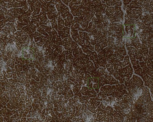 Phoenix Lander in Springtime (Natural Colors; credits: Dr Paolo C. Fienga - Lunexit Team)
With early Spring at the Phoenix Landing Site comes the progressive sublimation of the Carbon Dioxide frost that has blanketed the Lander and surrounding terrain throughout the Winter.
During the long Polar-Winter Night, atmospheric CO2 freezes onto the Surface building up a layer of frost roughly 30 cm (about one foot) thick. 
In the Spring this frost returns to the Atmosphere as gas (sublimates) over the course of several months. This image, part of a seasonal frost monitoring sequence, shows some areas of bare ground are beginning to be exposed. However, extensive frost patches remain in the topographic lows, such as the Troughs of the local polygonally patterned surface.

Even when the frost has completely sublimated, it must be underlined that the Dust deposited during the Winter could actually obscure (and "erase", in a view from atop) any and all the "Man-Made Features" that are still barely visible here (Backshell and Parachute, Heat-Shield and Lander). 

The Parachute that is attached to the Backshell, in fact, is not apparent in this image, and we'll see if it reappears in later images. 
Also gone are the dark halos around Lander, Backshell and Heat-Shield - again, this is due to seasonal frost and/or dust. 

This and future images will help calibrate expectations for finding the Mars Polar Lander hardware which encountered Mars in 1999.
Parole chiave: Mars from orbit - Vastitas Borealis Region