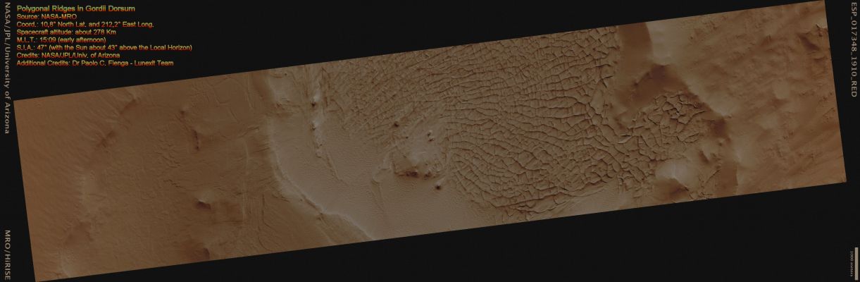 Polygonal Ridges in Gordii Dorsum (CTX Frame - Natural Colors; credits for the additional process. and color.: Dr Paolo C. Fienga - Lunexit Team)
This image from the Gordii Dorsum Region of Mars shows a large area covered with Polygonal Ridges in an almost geometric pattern.
The Ridges may have originally been Dunes which hardened (indurated) through the action of an unknown process. 

Groundwater might have been involved.
Parole chiave: Mars from orbit - Polygonal Ridges - Gordii Dorsum Region