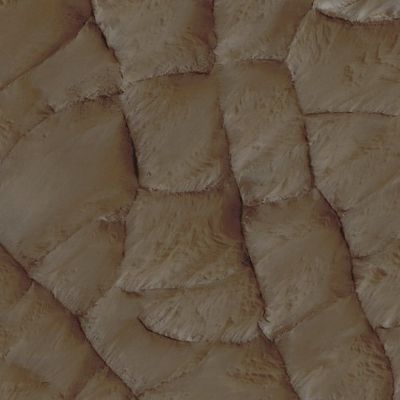 Polygonal Ridges in Gordii Dorsum (EDM - Natural Colors; credits for the additional process. and color.: Dr Paolo C. Fienga - Lunexit Team)
nessun commento
Parole chiave: Mars from orbit - Polygonal Ridges - Gordii Dorsum Region