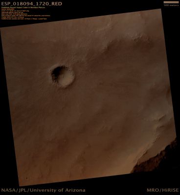 Relatively recent Impact Crater in Meridiani Planum (Absolute Natural Colors; credits: Dr Paolo C. Fienga - Lunexit Team)
The approximately 650-mt (2135 foot) diameter Crater in this image is relatively fresh, as evidenced by its sharp Rim and unmodified shape. Ejecta appears on top of pre-existing craters, and stands out against the background, again indicating relative youth.
However, there is something else interesting about the ejecta for this Crater: it is butterfly-shaped, with much more expansive ejecta along one axis, and much less along the other one.

Butterfly-shaped ejecta indicate that the body that caused the crater struck Mars at an oblique (or very shallow) angle. When this happens, the crater shape may be elliptical, although round craters can result from oblique impacts, too. During an oblique impact, much more ejecta is thrown out perpendicular to the direction of impact, and relatively little material is ejected along the impactor's trajectory. 
Oblique impacts are relatively rare, and so a fresh, oblique impact like this one is an attractive target.
Parole chiave: Mars from orbit - Craters - Unnamed Crater - Meridiani Planum Region