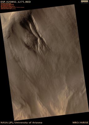 Gullies in Argyre Planitia (CTX Frame - Natural Colors; credits for the additional process. and color.: Dr Paolo C. Fienga - Lunexit Team)
nessun commento
Parole chiave: Mars from orbit - Gullies - Argyre Planitia