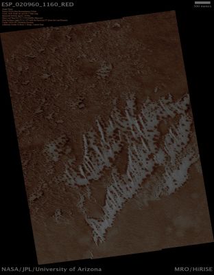 Dunes in Aonia Terra (Absolute Natural Colors; credits for the additional process. and color.: Dr Paolo C. Fienga - Lunexit Team)
nessun commento
Parole chiave: Mars from orbit - Dunes - Aonia Terra Region