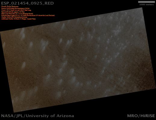 Polar Streaks (Absolute Natural Colors; credits: Dr Paolo C. Fienga - Lunexit Team)
This is the first HiRISE image taken after Solar Conjunction (2010), when Mars passes behind the Sun as seen from Earth. The Solar Corona interferes with radio communication with MRO for a few weeks during conjunction, so no HiRISE imaging was planned until reliable communication resumed. 

This image is one of a set of images taken to monitor the evolution of the South Polar Seasonal Cap. The Seasonal Caps on Mars are mostly composed of Carbon Dioxide, the major component of the Martian Atmosphere. It is currently Spring in the Southern Hemisphere of Mars, so the Cap is warming and evaporating into the Atmosphere by way of Sublimation. 

The Dark Streaks visible in this image are thought to be sand ejected onto the Surface of the Cap by "Jets" of CO2. It is thought that Sunlight penetrates to the base of the Seasonal Cap, warming the soil at its base. This in turn warms the Cap from below, causing Carbon Dioxide to evaporate and build pressure until the gas escapes through Vents to the Surface. Sand grains are apparently entrained in this flow and deposited in Fans on the Surface. 

The White Streaks may be formed by recondensation of ice on the Surface of the Cap.
Parole chiave: Mars from orbit - South Polar Features - Fans
