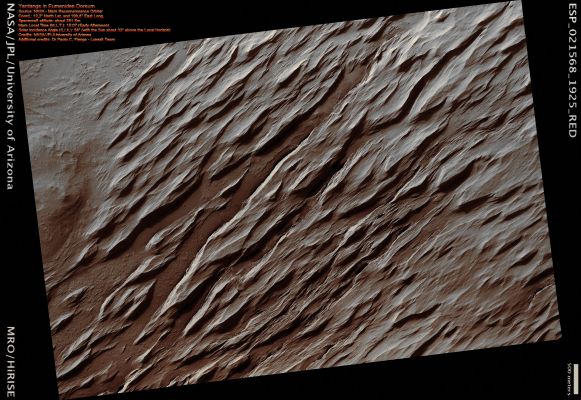 Yardangs in Eumenides Dorsum (Absolute Natural Colors; credits for the additional process. and color.: Dr Paolo C. Fienga - Lunexit Team)
nessun commento
Parole chiave: Mars from orbit - Aeolian Features - Yardangs