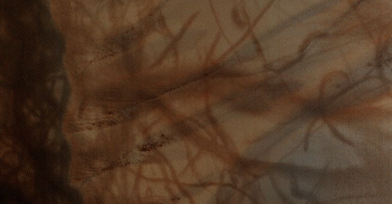 DD Tracks on a Southern Dunefield (EDM - Absolute Natural Colors; credits for the additional process. and color.: Dr Paolo C. Fienga - Lunexit Team) 
nessun commento
Parole chiave: Mars from orbit - Dust Devil Tracks