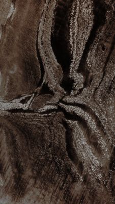 Light and Dark Bands in Darwin Crater (EDM - Absolute Natural Colors; credits for the additional process. and color.: Dr Paolo C. Fienga - Lunexit Team)
nessun commento
Parole chiave: Mars from orbit - Craters - Darwin Crater