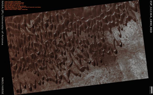 Large Dunefield in Nili Patera (Natural Colors; credits for the additional process. and color.: Dr Paolo C. Fienga - Lunexit Team)
nessun commento
Parole chiave: Mars from orbit - Dunes - Nili Patera Region