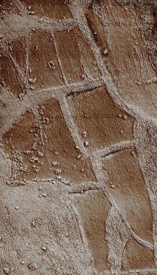 Unusual Surface Features in Hellas Planitia (EDM - Enhanced Absolute Natural Colors; credits for the additional process. and color.: Dr Paolo C. Fienga - Lunexit Team)
Mars Local Time: 14:16 (Early Afternoon)
Coord. (centered): 35,9° South Lat. and 58,6° East Long.
Spacecraft altitude: 261,1 Km (such as about 163,2 miles) 
Original image scale range: 52,2 cm/pixel (with 2 x 2 binning) so objects ~ 1 mt and 57 cm across are resolved 
Map projected scale: 50 cm/pixel
Map projection: EQUIRECTANGULAR
Emission Angle: 6,0° 
Sun-Mars-Spacecraft (or "Phase") Angle: 34,3°
Solar Incidence Angle: 39° (meaning that the Sun is about 51° above the Local Horizon)
Solar Longitude: 329,9° (Northern Winter)
Credits: NASA/JPL/University of Arizona
Additional process. and coloring: Dr Paolo C. Fienga - Lunar Explorer Italia
Parole chiave: Mars from orbit - Hellas Planitia Region