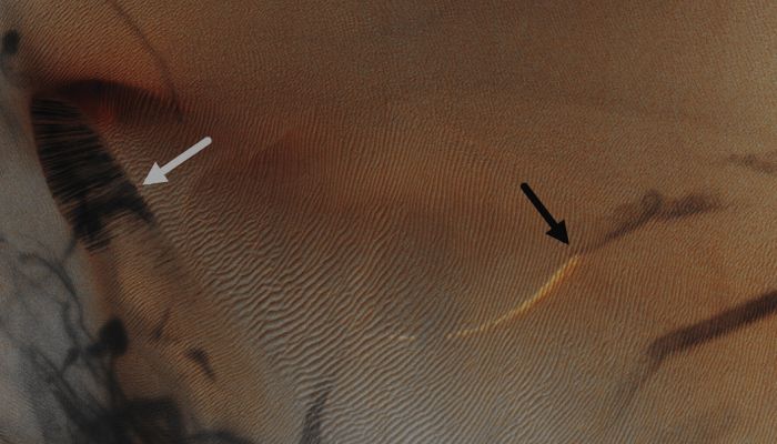Dark Dust Devil Tracks on colourful Dunes (EDM n.1 - Enhanced Absolute Natural Colors; credits for the additional process. and color.: Dr Paolo C. Fienga - Lunexit Team)
Mars Local Time: 14:09 (Early Afternoon)
Coord. (centered): 26,1° North Lat. and 57,0° East Long.
Spacecraft altitude: 304,8 Km (such as about 190,5 miles) 
Original image scale range: 30,5 cm/pixel (with 1 x 1 binning) so objects ~ 91 cm across are resolved 
Map projected scale: 25 cm/pixel
Map projection: EQUIRECTANGULAR
Emission Angle: 20,6° 
Phase Angle: 36,0°
Solar Incidence Angle: 49° (meaning that the Sun is about 41° above the Local Horizon)
Solar Longitude: 330,5° (Northern Winter)
Credits: NASA/JPL/University of Arizona
Additional process. and coloring: Dr Paolo C. Fienga - Lunar Explorer Italia
Parole chiave: Mars from orbit - Aeolian Features - Dust Devil Tracks (DD Tracks)