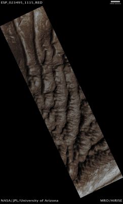 Southern Dunefield (Absolute Natural Colors; credits for the additional process. and color.: Dr Paolo C. Fienga - Lunar Explorer Italia)
Mars Local Time: 14:31 (early afternoon)
Coord. (centered): 68,4° South Lat. and 162,7° East Long.
Spacecraft altitude: 249,0 Km (such as about 155,6 miles) 
Original image scale range: 49,8 cm/pixel (with 2 x 2 binning) so objects ~ 1 mt and 49 cm across are resolved 
Map projected scale: 50 cm/pixel 
Map projection: POLAR STEREOGRAPHIC
Emission Angle: 2,7° 
Sun-Mars-Spacecraft (or "Phase") Angle: 65,8°
Solar Incidence Angle: 64° (meaning that the Sun is about 26° above the Local Horizon)
Solar Longitude: 337,6° (Northern Winter)
Credits: NASA/JPL/University of Arizona
Additional process. and coloring: Dr Paolo C. Fienga - Lunar Explorer Italia
Parole chiave: Mars from orbit - Dunefield - Southern Hemisphere