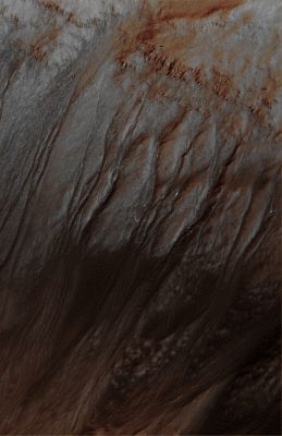 Unnamed Southern Crater with Gullies (EDM - Absolute Natural Colors; credits for the additional process. and color.: Dr Paolo C. Fienga - Lunexit Team)
Mars Local Time: 14:15 (Early Afternoon)
Coord. (centered): 38,5° South Lat. and 194,5° East Long.
Spacecraft altitude: 255,0 Km (such as about 159,4 miles) 
Original image scale range: 51,0 cm/pixel (with 2 x 2 binning) so objects ~ 1 mt and 53 cm across are resolved 
Map projected scale: 50 cm/pixel
Map projection: EQUIRECTANGULAR
Emission Angle: 6,9° 
Sun-Mars-Spacecraft (or "Phase") Angle: 49,6°
Solar Incidence Angle: 44° (meaning that the Sun is about 46° above the Local Horizon)
Solar Longitude: 344,6° (Northern Winter)
Credits: NASA/JPL/University of Arizona
Additional process. and coloring: Dr Paolo C. Fienga - Lunar Explorer Italia
Parole chiave: Mars from orbit - Craters - Unnamed Crater with Gullies