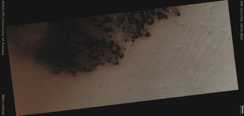 Dark Dunes in Western Arabia Terra (Absolute Natural Colors; credits for the additional process. and color.: Dr Paolo C. Fienga - Lunexit Team)
Mars Local Time: 14:11 (Early Afternoon)
Coord. (centered): 7,1° North Lat. and 6,9° East Long.
Spacecraft altitude: 276,3 Km (such as about 172,7 miles) 
Original image scale range: 55,3 cm/pixel (with 2 x 2 binning) so objects ~ 1 mt and 66 cm across are resolved 
Map projected scale: 50 cm/pixel
Map projection: EQUIRECTANGULAR
Emission Angle: 6,0° 
Phase Angle: 29,1°
Solar Incidence Angle: 35° (meaning that the Sun is about 55° above the Local Horizon)
Solar Longitude: 348,6° (Northern Winter)
Credits: NASA/JPL/University of Arizona
Additional process. and coloring: Dr Paolo C. Fienga - Lunar Explorer Italia
Parole chiave: Mars from orbit - Dunefield - Arabia Terra Region