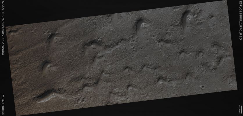 Aeolian Scour Features in Olympus Mons Aureole (Absolute Natural Colors; credits for the additional process. and color.: Dr Paolo C. Fienga - Lunexit Team)
Mars Local Time: 14:09 (Early Afternoon)
Coord. (centered): 16,7° North Lat. and 216,9° East Long.
Spacecraft altitude: 279,6 Km (such as about 174,8 miles) 
Original image scale range: 55,9 cm/pixel (with 2 x 2 binning) so objects ~ 1 mt and 68 cm across are resolved 
Map projected scale: 50 cm/pixel
Map projection: EQUIRECTANGULAR 
Emission Angle: 3,6° 
Phase Angle: 35,0°
Solar Incidence Angle: 38° (meaning that the Sun is about 52° above the Local Horizon)
Solar Longitude: 350,4° (Northern Winter)
Credits: NASA/JPL/University of Arizona
Additional process. and coloring: Dr Paolo C. Fienga - Lunar Explorer Italia
Parole chiave: Mars from orbit - Volcanic Features - Aeolian Scour Features