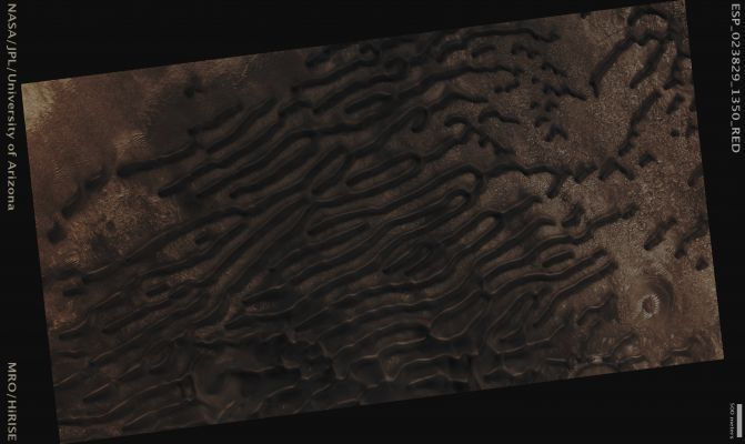 Large Southern Dunefield (CTX Frame - Absolute Natural Colors; credits for the additional process. and color.: Dr Paolo C. Fienga - Lunexit Team)
Mars Local Time: 14:22 (Early Afternoon)
Coord. (centered): 44,9° South Lat. and 38,7° East Long.
Spacecraft altitude: 251,1 Km (such as about 157,0 miles) 
Original image scale range: 50,2 cm/pixel (with 2 x 2 binning) so objects ~ 1 mt and 51 cm across are resolved 
Map projected scale: 50 cm/pixel
Map projection: EQUIRECTANGULAR
Emission Angle: 0,3° 
Phase Angle: 51,9°
Solar Incidence Angle: 52° (meaning that the Sun is about 38° above the Local Horizon)
Solar Longitude: 351,2° (Northern Winter)
Credits: NASA/JPL/University of Arizona
Additional process. and coloring: Dr Paolo C. Fienga - Lunar Explorer Italia
Parole chiave: Mars from orbit - Dunefield - Southern Regions