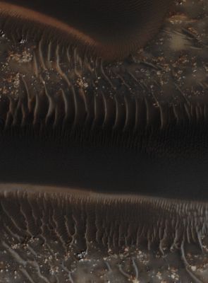Large Southern Dunefield (EDM - Absolute Natural Colors; credits for the additional process. and color.: Dr Paolo C. Fienga - Lunexit Team)
Mars Local Time: 14:22 (Early Afternoon)
Coord. (centered): 44,9° South Lat. and 38,7° East Long.
Spacecraft altitude: 251,1 Km (such as about 157,0 miles) 
Original image scale range: 50,2 cm/pixel (with 2 x 2 binning) so objects ~ 1 mt and 51 cm across are resolved 
Map projected scale: 50 cm/pixel
Map projection: EQUIRECTANGULAR
Emission Angle: 0,3° 
Phase Angle: 51,9°
Solar Incidence Angle: 52° (meaning that the Sun is about 38° above the Local Horizon)
Solar Longitude: 351,2° (Northern Winter)
Credits: NASA/JPL/University of Arizona
Additional process. and coloring: Dr Paolo C. Fienga - Lunar Explorer Italia
Parole chiave: Mars from orbit - Dunefield - Southern Regions