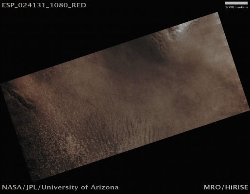 Southern Dunefield (Absolute Natural Colors; credits for the additional process. and color.: Dr Paolo C. Fienga - Lunexit Team)
Mars Local Time: 14:51 (Early Afternoon)
Coord. (centered): 71,9° South Lat. and 81,8° East Long.
Spacecraft altitude: 249,0 Km (such as about 155,6 miles) 
Original image scale range: 49,8 cm/pixel (with 2 x 2 binning) so objects ~ 1 mt and 49 cm across are resolved 
Map projected scale: 50 cm/pixel
Map projection: POLAR STEREOGRAPHIC
Emission Angle: 0,2° 
Sun-Mars-Spacecraft (or "Phase") Angle: 78,3°
Solar Incidence Angle: 78° (meaning that the Sun is about 12° above the Local Horizon)
Solar Longitude: 3,1° (Northern Spring)
Credits: NASA/JPL/University of Arizona
Additional process. and coloring: Dr Paolo C. Fienga - Lunar Explorer Italia
Parole chiave: Mars from orbit - Dunefield - Southern Regions