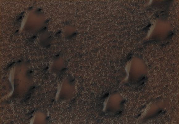 North Polar Dunes (EDM - Absolute Natural Colors; credits for the additional process. and color.: Dr Paolo C. Fienga - Lunexit Team)
Mars Local Time: 13:44 (early afternoon)
Coord. (centered): 73,3° North Lat. and 355,1° East Long.
Spacecraft altitude: 317,5 Km (such as about 198,4 miles) 
Original image scale range: 31,8 cm/pixel (with 1 x 1 binning) so objects ~ 95 cm across are resolved
Map projected scale: 25 cm/pixel
Map projection: POLAR STEREOGRAPHIC
Emission Angle: 1,8° 
Phase Angle: 72,9°
Solar Incidence Angle: 72° (meaning that the Sun is about 18° above the Local Horizon)
Solar Longitude: 8,2° (Northern Spring)
Credits: NASA/JPL/University of Arizona
Additional process. and coloring: Lunar Explorer Italia
Parole chiave: Mars from orbit - North Polar Features - Frozen Dunes