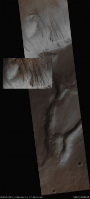 Gullies on the South Wall of Dao Vallis near the Confluence with Niger Vallis (Absolute Natural Colors; credits for the additional process. and color.: Dr Paolo C. Fienga - Lunexit Team)
Mars Local Time: 14:32 (Early Afternoon)
Coord. (centered): 36,1° South Lat. and 90,3° East Long.
Spacecraft altitude: 258,3 Km (such as about 161,4 miles) 
Original image scale range: 51,7 cm/pixel (with 2 x 2 binning) so objects ~ 1 mt and 55 cm across are resolved 
Map projected scale: 50 cm/pixel
Map projection: EQUIRECTANGULAR
Emission Angle: 5,6° 
Sun-Mars-Spacecraft (or "Phase") Angle: 50,5°
Solar Incidence Angle: 54° (meaning that the Sun is about 36° above the Local Horizon)
Solar Longitude: 10,1° (Northern Spring)
Credits: NASA/JPL/University of Arizona
Additional process. and coloring: Dr Paolo C. Fienga - Lunar Explorer 
Parole chiave: Mars from orbit - Gullies - Southern Wall of Dao Vallis