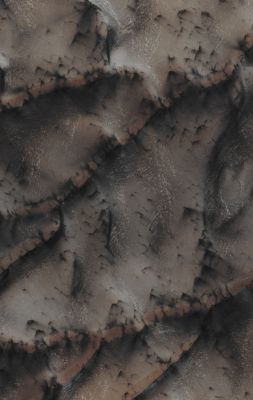 Features of the Defrosting North Polar Erg (EDM - Absolute Natural Colors; credits for the additional process. and color.: Dr Paolo C. Fienga - Lunexit Team)
Mars Local Time: 13:17 (early afternoon)
Coord. (centered): 80,2° North Lat. and 217,1° East Long.
Spacecraft altitude: 317,6 Km (such as about 198,5 miles) 
Original image scale range: 63,5 cm/pixel (with 2 x 2 binning) so objects ~ 1 mt and 91 cm across are resolved
Map projected scale: 50 cm/pixel
Map projection: POLAR STEREOGRAPHIC 
Emission Angle: 2,4° 
Phase Angle: 76,3°
Solar Incidence Angle: 75° (meaning that the Sun is about 15° above the Local Horizon)
Solar Longitude: 14,3° (Northern Spring)
Credits: NASA/JPL/University of Arizona
Additional process. and coloring: Lunar Explorer Italia
Parole chiave: Mars from orbit - North Polar Features - Defrosting Dunes