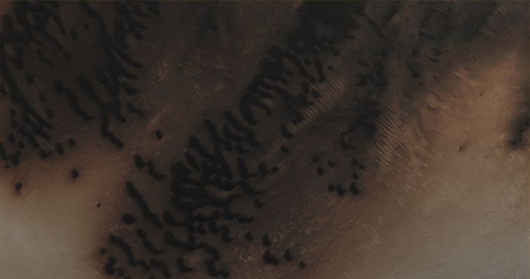 Possible Migrating Dunes in Arabia Terra (CTX Frame "A" - Absolute Natural Colors; credits for the additional process. and color.: Dr Paolo C. Fienga - Lunexit Team)
Coord. (centered): 10,6° North Lat. and 9,1° East Long.
Parole chiave: Mars from orbit - Dunefield - Arabia Terra Region