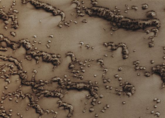 Defrosting Northern Dunes (CTX Frame "A" - Absolute Natural Colors; credits for the additional process. and color.: Dr Paolo C. Fienga - Lunexit Team)
Mars Local Time: 13:58 (early afternoon)
Coord. (centered): 76,6° North Lat. and 104,1° East Long.
Spacecraft altitude: 317,7 Km (such as about 198,6 miles) 
Original image scale range: 31,8 cm/pixel (with 1 x 1 binning) so objects ~ 95,0 cm across are resolved
Map projected scale: 25 cm/pixel
Map projection: POLAR STEREOGRAPHIC
Emission Angle: 0,8° 
Sun - Mars - MRO (or "Phase") Angle: 63,5°
Solar Incidence Angle: 63° (meaning that the Sun is about 27° above the Local Horizon)
Solar Longitude: 39,2° (Northern Spring)
Credits: NASA/JPL/University of Arizona
Additional process. and coloring: Lunar Explorer Italia
Parole chiave: Mars from orbit - Dunefield - Northern Regions