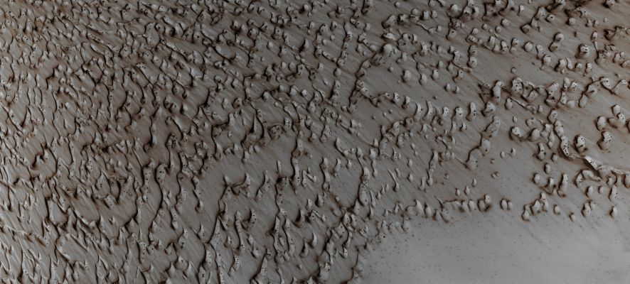 Spring in the North Polar Erg (Absolute Natural Colors; credits for the additional process. and color.: Dr Paolo C. Fienga - Lunexit Team)
Mars Local Time: 12:51 (early afternoon)
Coord. (centered): 84,7° North Lat. and 0,8° East Long.
Spacecraft altitude: 319,9 Km (such as about 199,9 miles) 
Original image scale range: 32,0 cm/pixel (with 1 x 1 binning) so objects ~ 96 cm across are resolved
Map projected scale: 25 cm/pixel
Map projection: POLAR STEREOGRAPHIC
Emission Angle: 0,2° 
Sun - Mars - MRO (or "Phase") Angle: 66,3°
Solar Incidence Angle: 66° (meaning that the Sun is about 24° above the Local Horizon)
Solar Longitude: 49,0° (Northern Spring)
Credits: NASA/JPL/University of Arizona
Additional process. and coloring: Lunar Explorer Italia
Parole chiave: Mars from orbit - North Polar Features - The Erg