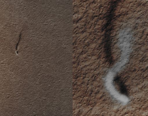 Serpentine Dust Devil in Amazonis Planitia (CTX Frame - Absolute Natural Colors; credits for the additional process. and color.: Dr Paolo C. Fienga - Lunexit Team)
A "towering" (----> very tall, of imposing height) Dust Devil (also hereafter written "DD") casts a serpentine shadow over the Surface in this beautiful, late Springtime image of the Amazonis Planitia Region of Mars. The length of the shadow of this DD indicates (a simple calculation is needed and all the necessary data to make it are available) that the Dust Plume is/should be more than 800 meters, or about half a mile, in height; on the other hand, the delicate arc that gave to the Dust Plume its serpentine appearence, was most likely produced by a Westerly (----> coming from the West) Breeze which blew at about 250-meter of its height, thus causing the top of the Plume itself to bend towards the East. The Dust Plume itself is approximately 30 meters in diameter. 
A consistent number of Dust Devil Tracks (also hereafter written "DD Tracks" or "DDT" for short) trend from the North/West to the South/East and it is really interesting to notice that these Tracks are quite bright, whereas Dust Devil Tracks visible elsewhere on Mars are usually dark. However, Dark DD Tracks are believed to form where Bright Dust is lifted from the Surface by these swirling small Hurricanes, thus revealing a darker Substrate; but here, in the Amazonis Planitia Region of Mars, the Dust Cover (such as the amount of Dust covering the Surface of the Region) is still too thick to be penetrated by such kind of a scouring (as a matter of fact, you have to remember that a thick blanket of Bright and fresh Dust was deposited over Amazonis Planitia recently, during a Regional and - relatively - long Dust Storm, that occurred right before the arrival of the NASA - Mars Reconnaissance Orbiter). Anyway, the Bright Tracks could also form when the already settled Dust is stirred up by the strong Winds generated by the Dust Devils (Tangential Winds whose Speed reached up to 70 mph - miles-per-hour - have, actually, already been recorded in previous HiRISE images of other Dust Devils).
It is also extremely interesting to underline that this image was taken during the time of year when Mars is farthest from the Sun. Just as on Earth, Martian Winds are powered by Solar Heating. Exposure to the Sun's Rays should be at a minimum during this season and yet, even now, Dust Devils act relentlessly to clean the Surface of freshly deposited Dust, a little bit at a time.

Picture's Data

Mars Local Time: 15:03 (Early Afternoon)
Coord. (centered): 35,8° North Lat. and 207,5° East Long.
Spacecraft altitude: 307,7 Km (such as about 192,3 miles) 
Original image scale range: 30,8 cm/pixel (with 1 x 1 binning) so objects ~ 92 cm across are resolved
Map projected scale: 25 cm/pixel
Map projection: EQUIRECTANGULAR
Emission Angle: 16,1° 
Phase Angle: 25,1°
Solar Incidence Angle: 41° (meaning that the Sun is about 49° above the Local Horizon)
Solar Longitude: 71,3° (Northern Spring)
Credits: NASA/JPL/University of Arizona
Parole chiave: Mars from orbit - Dust Devil - Amazonis Planitia